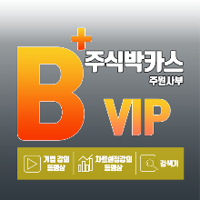 주식박카스 VIP B+상품